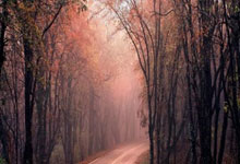 90分和即时比分滚球二合一有何区别与特点？