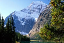 球探网足球手机比分好用吗？怎么用它看实时赛况？